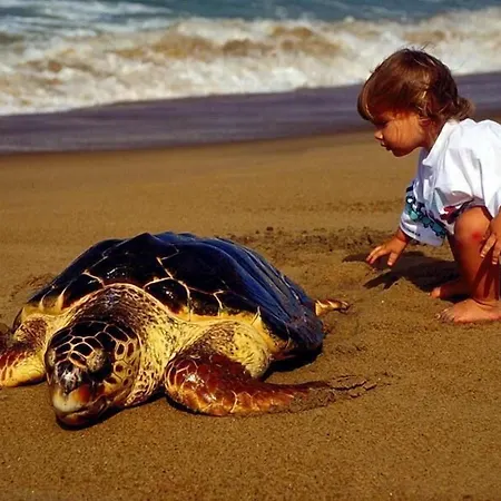 ホテル Minta ダルヤン